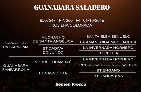 Geração GUANABARA SALADERO