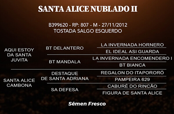 Geração SANTA ALICE NUBLADO II ou SANTA ALICE POSTEIRO