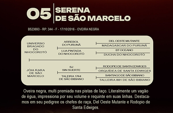 Geração SERENA DE SAO MARCELO