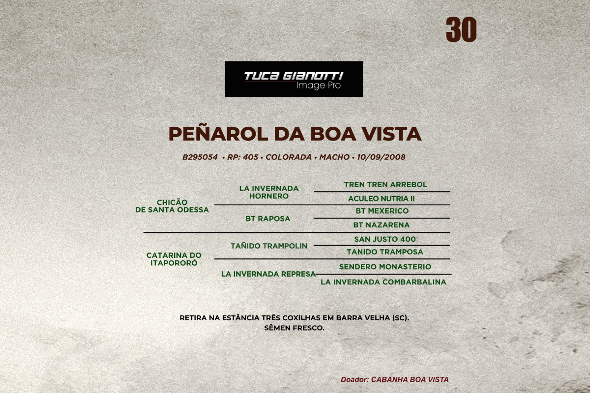 Geração PEÑAROL DA BOA VISTA 