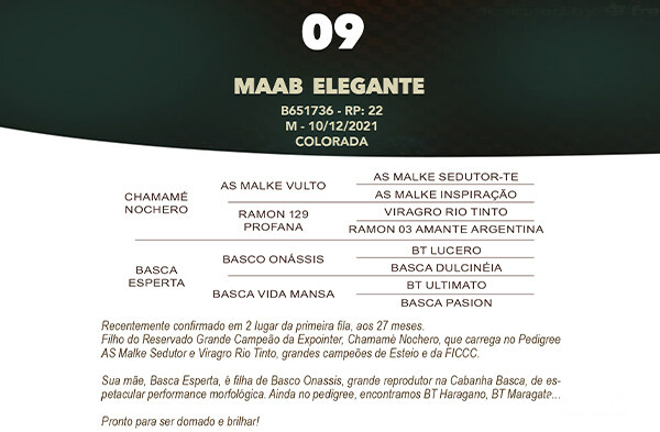 Geração MAAB ELEGANTE