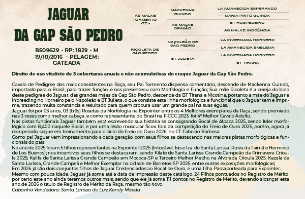 Geração DIREITO DE USO 3 COBERTURAS  JAGUAR DA GAP SÃO PEDRO 