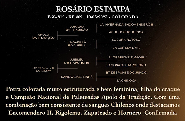Geração ROSÁRIO ESTAMPA