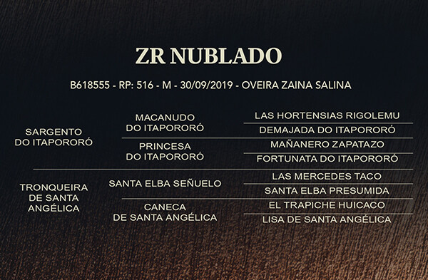 Geração ZR NUBLADO 