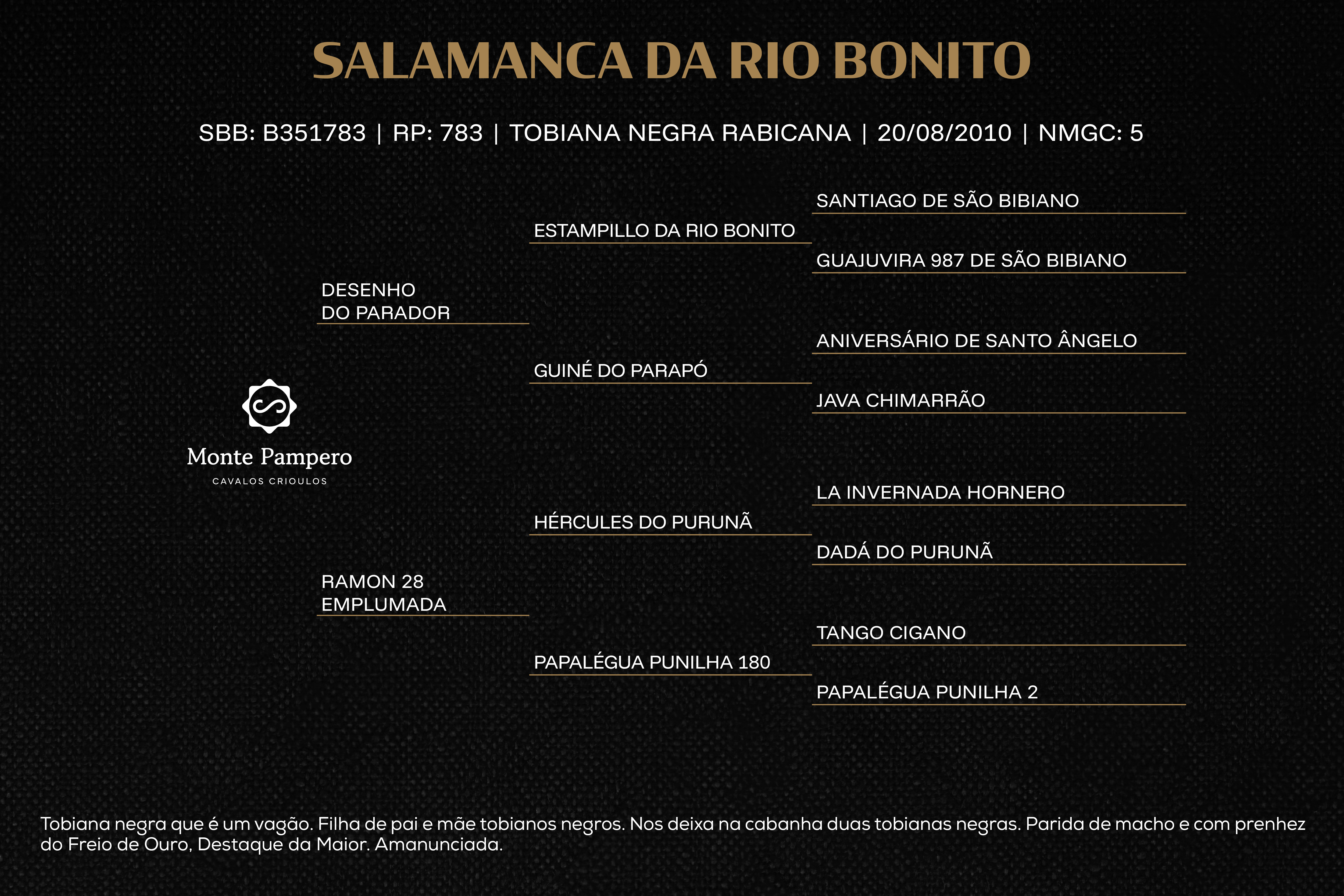 Geração SALAMANCA DA RIO BONITO