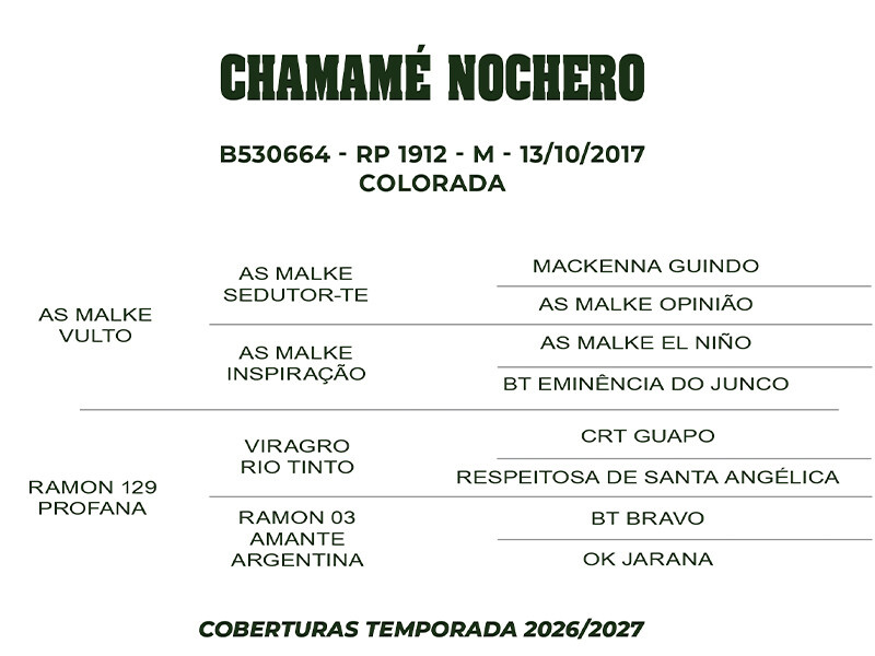 Geração COBERTURA CHAMAMÉ NOCHERO 
