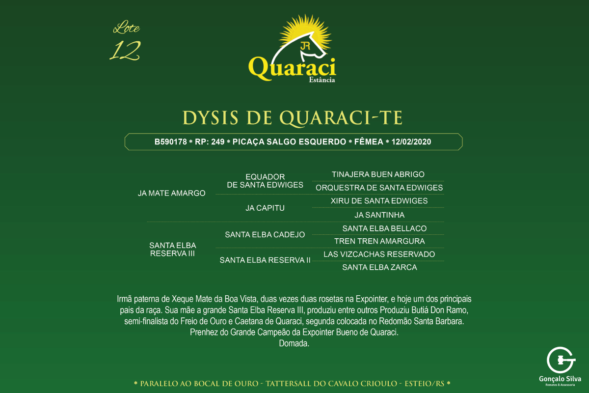 Geração DYSIS DE QUARACI - TE