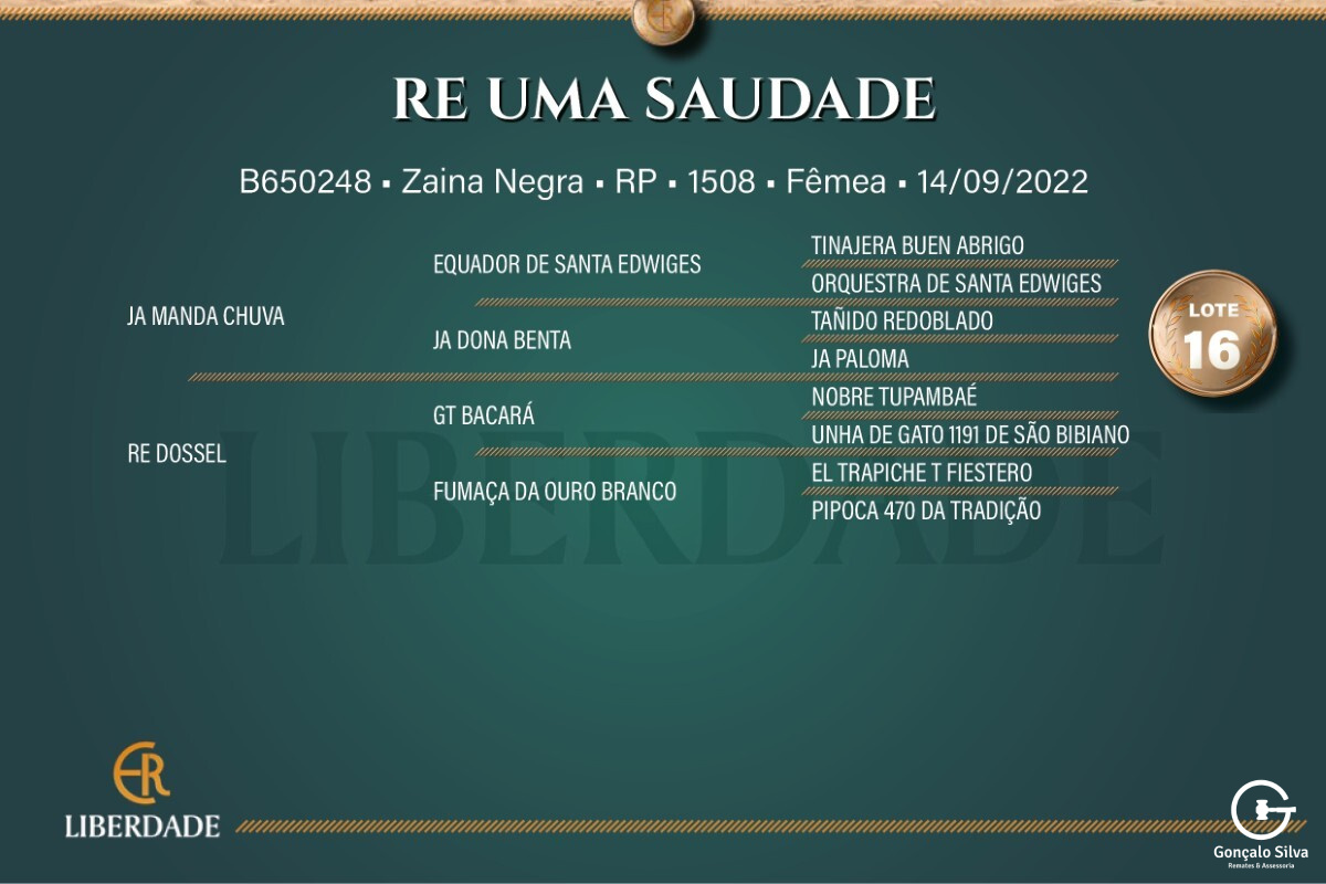 Geração  RE UMA SAUDADE