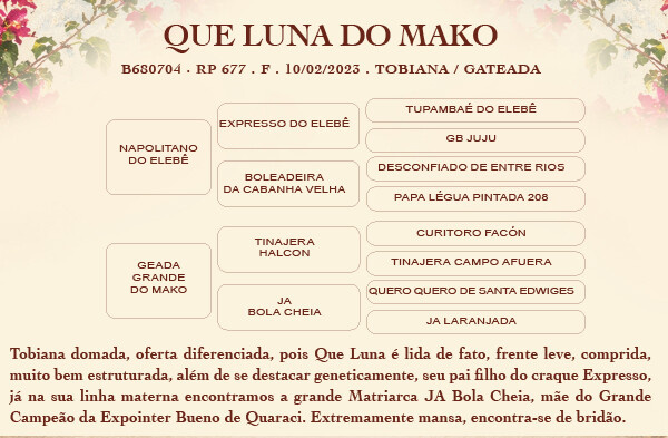 Geração QUE LUNA DO MAKO