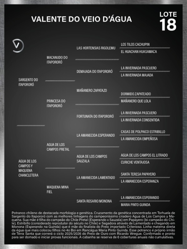 Geração VALENTE DO VEIO D'ÁGUA