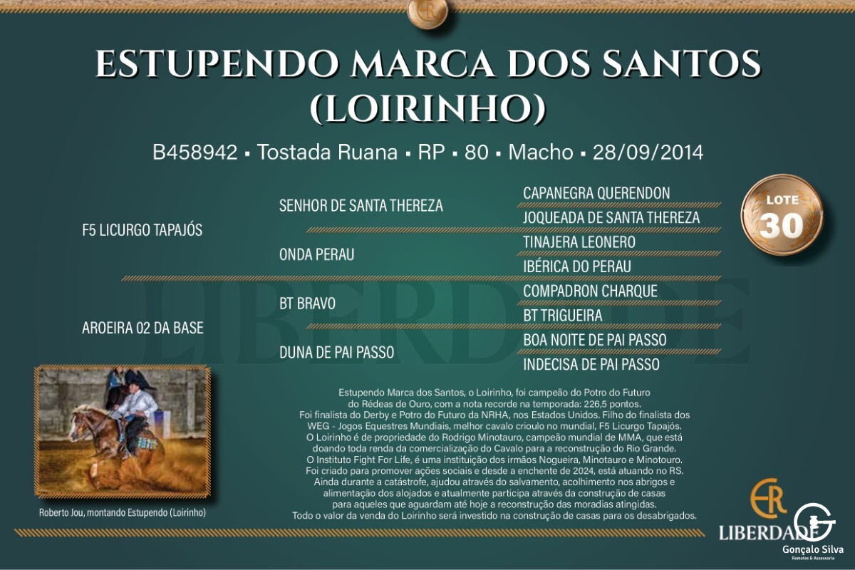 Geração  ESTUPENDO MARCA DOS SANTOS  (LOIRINHO) - Doação