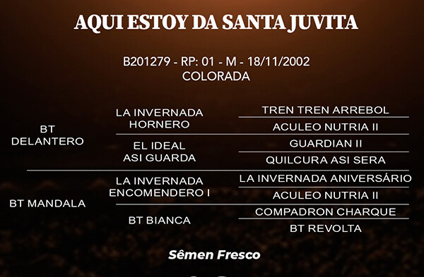 Geração AQUI ESTOY DE SANTA JUVITA