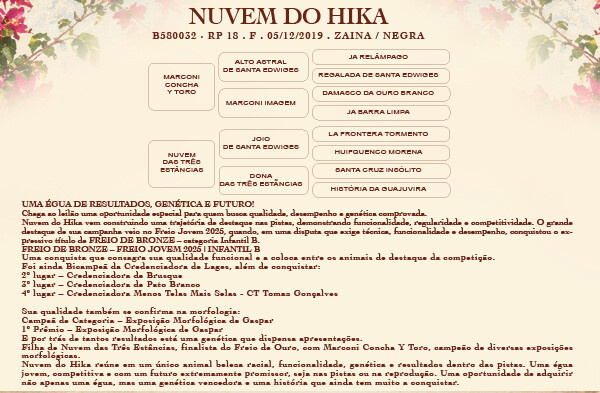 Geração NUVEM DA HIKA 