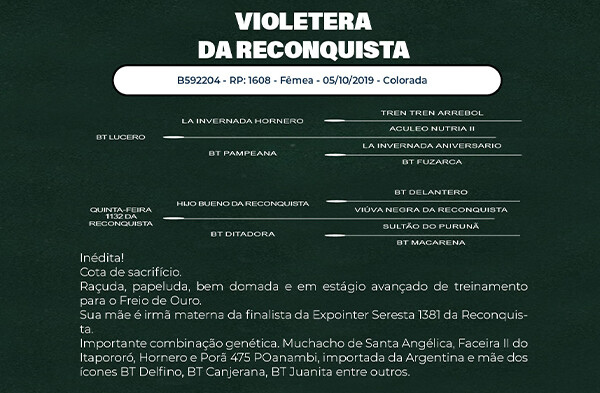 Geração VIOLETERA DA RECONQUISTA