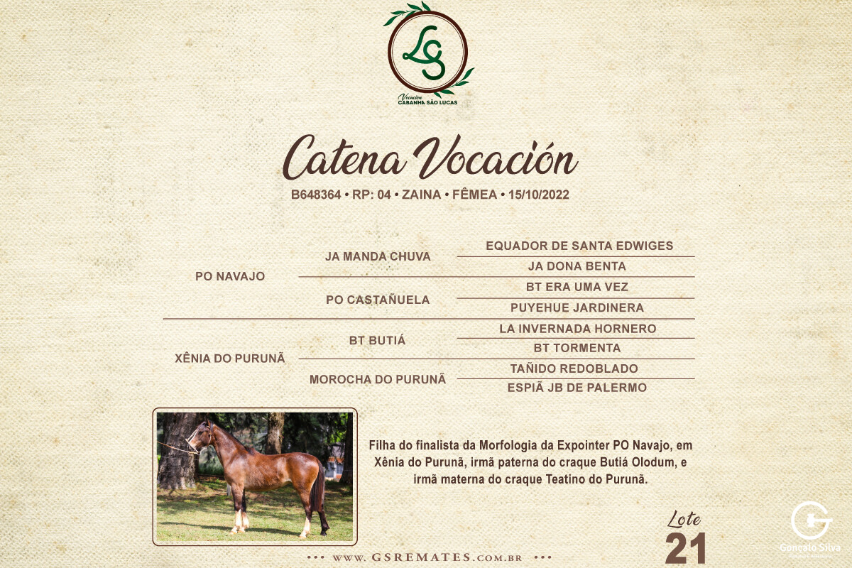 Geração CATENA VOCACIÓN