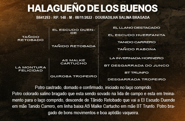 Geração HALAGUEÑO DE LOS BUENOS