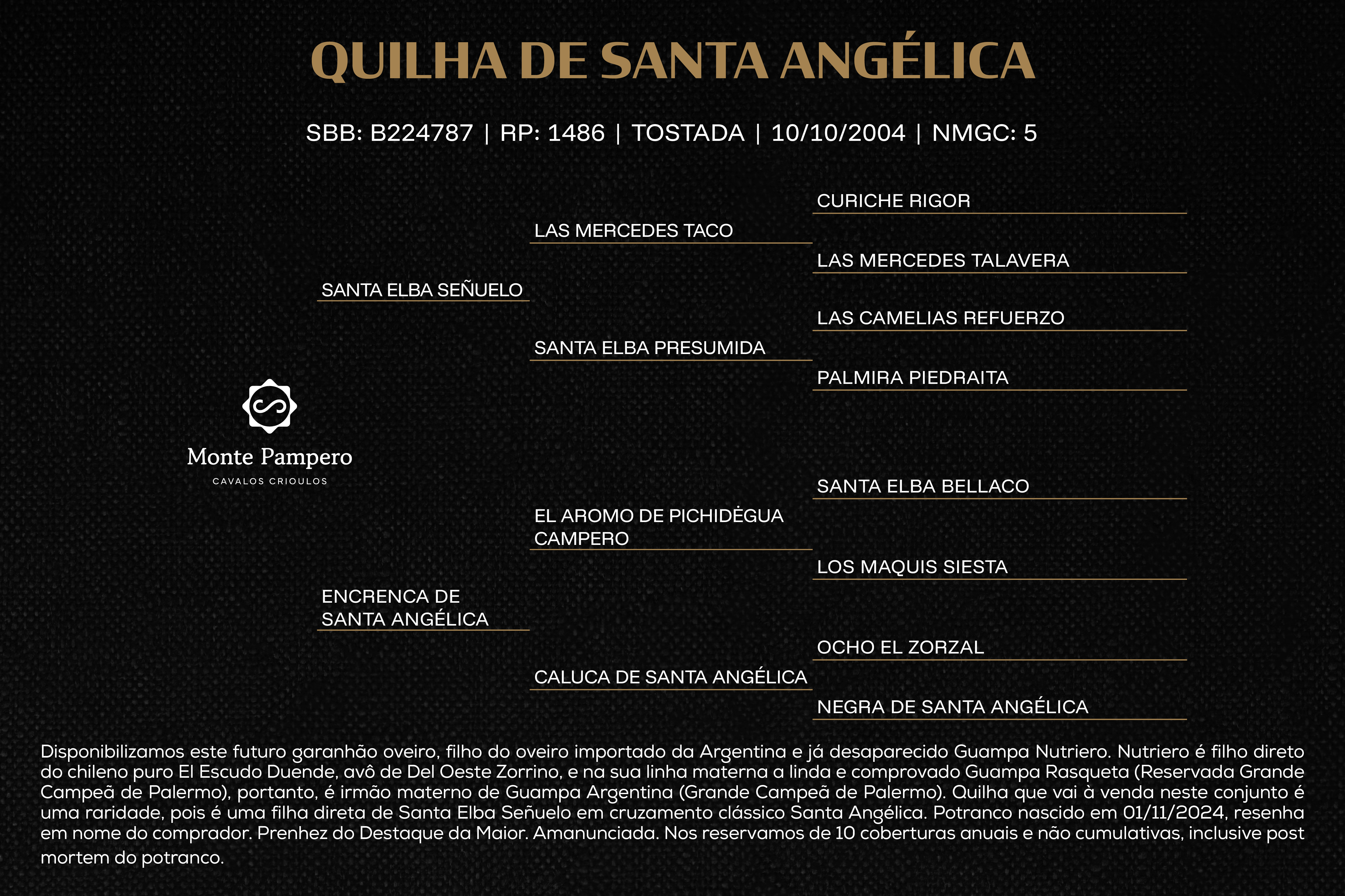 Geração QUILHA DE SANTA ANGÉLICA