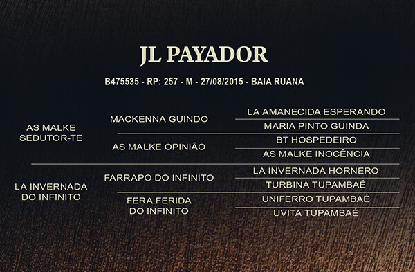 Geração JI PAYADOR
