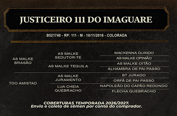 Geração JUSTICEIRO 111 DO IMAGUARE 