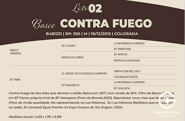Geração BASCO CONTRA FUEGO