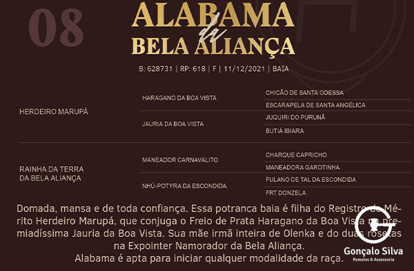 Geração ALABAMA DA BELA ALIANÇA