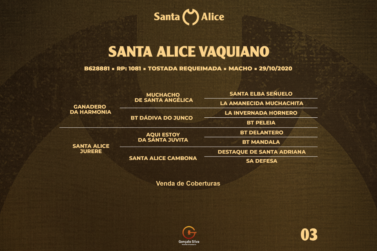 Geração COBERTURA SANTA ALICE VAQUIANO