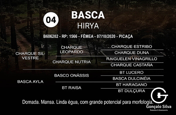 Geração BASCA HIRYA