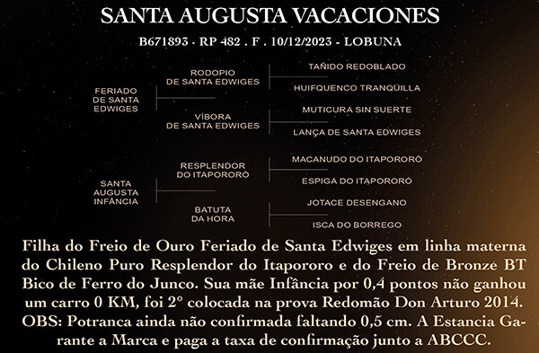 Geração SANTA AUGUSTA VACACIONES