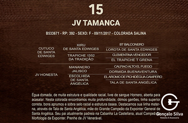 Geração JV TAMANCA