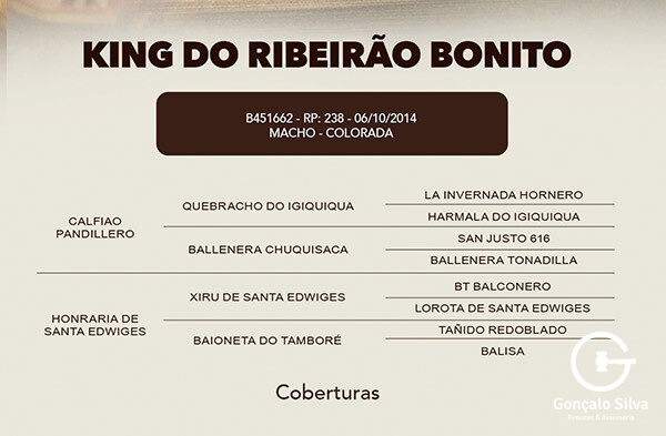 Geração COBERTURA KING DO RIBEIRAO BONITO