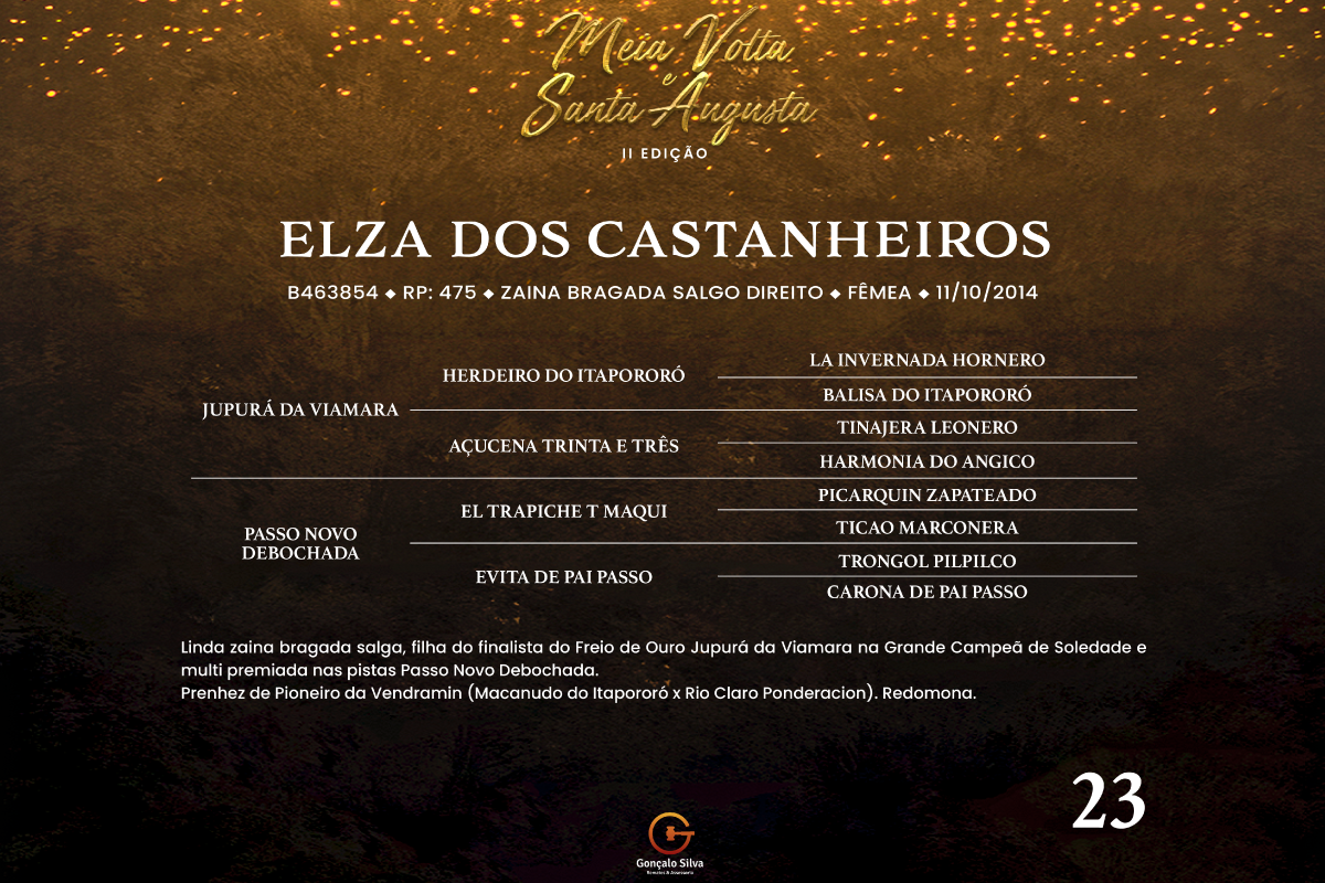 Geração ELZA DOS CASTANHEIROS