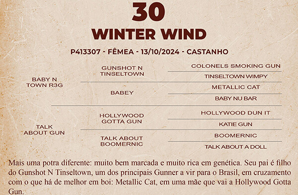 Geração WINTER WIND