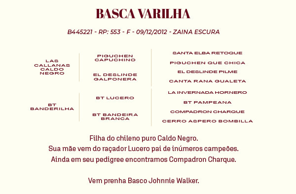 Geração BASCA VARILHA
