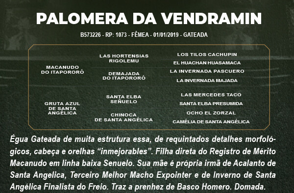 Geração PALOMERA DA VENDRAMIN