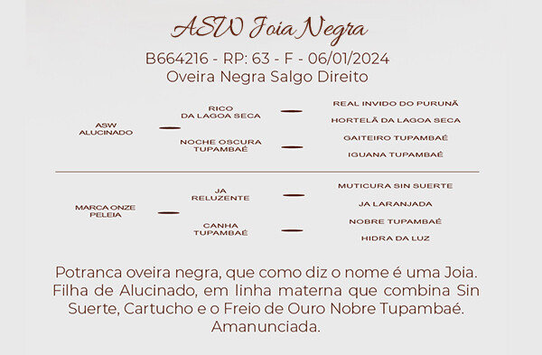 Geração ASW JOIA NEGRA