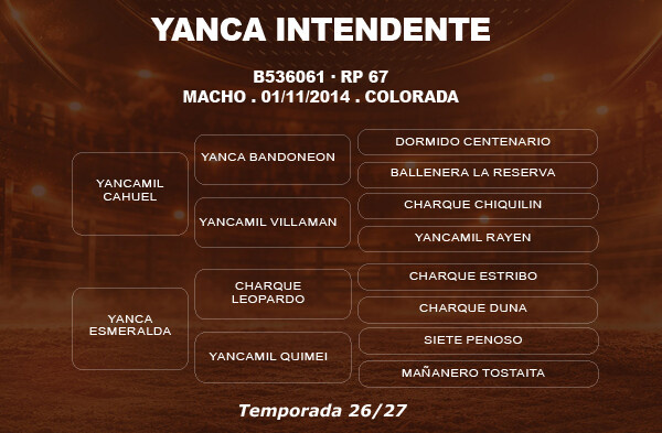 Geração COBERTURA YANCA INTENDENTE 