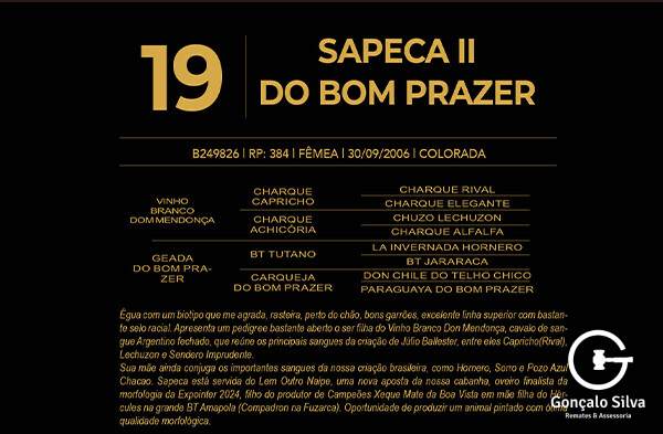 Geração SAPECA II DO BOM PRAZER