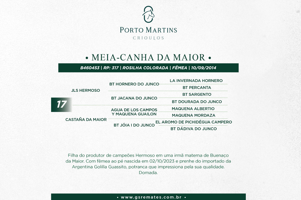 Geração MEIA-CANHA DA MAIOR