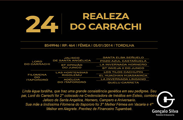 Geração REALEZA DO CARRACHI