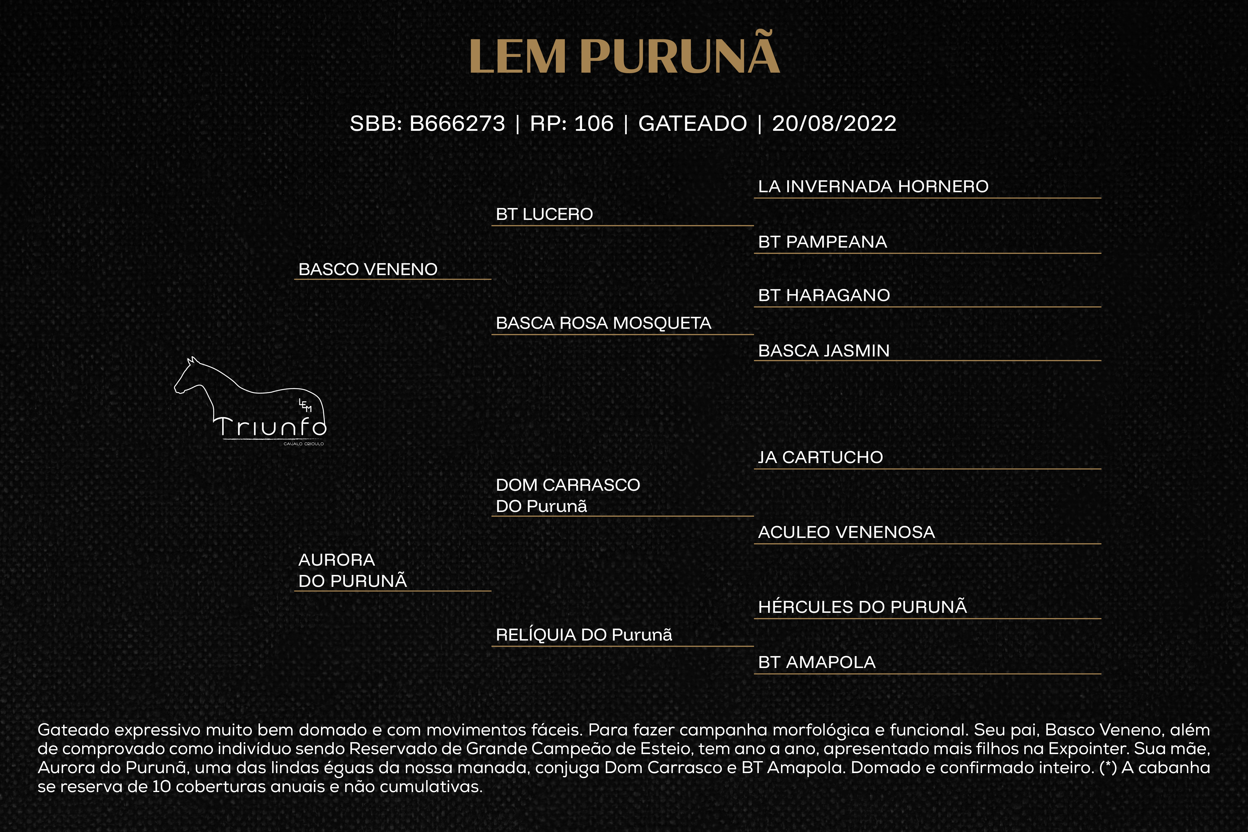 Geração LEM PURUNÃ