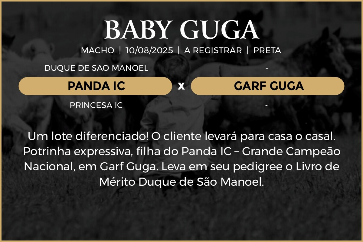Geração BABY GUGA 