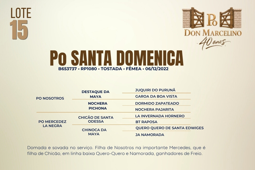 Geração PO SANTA DOMENICA