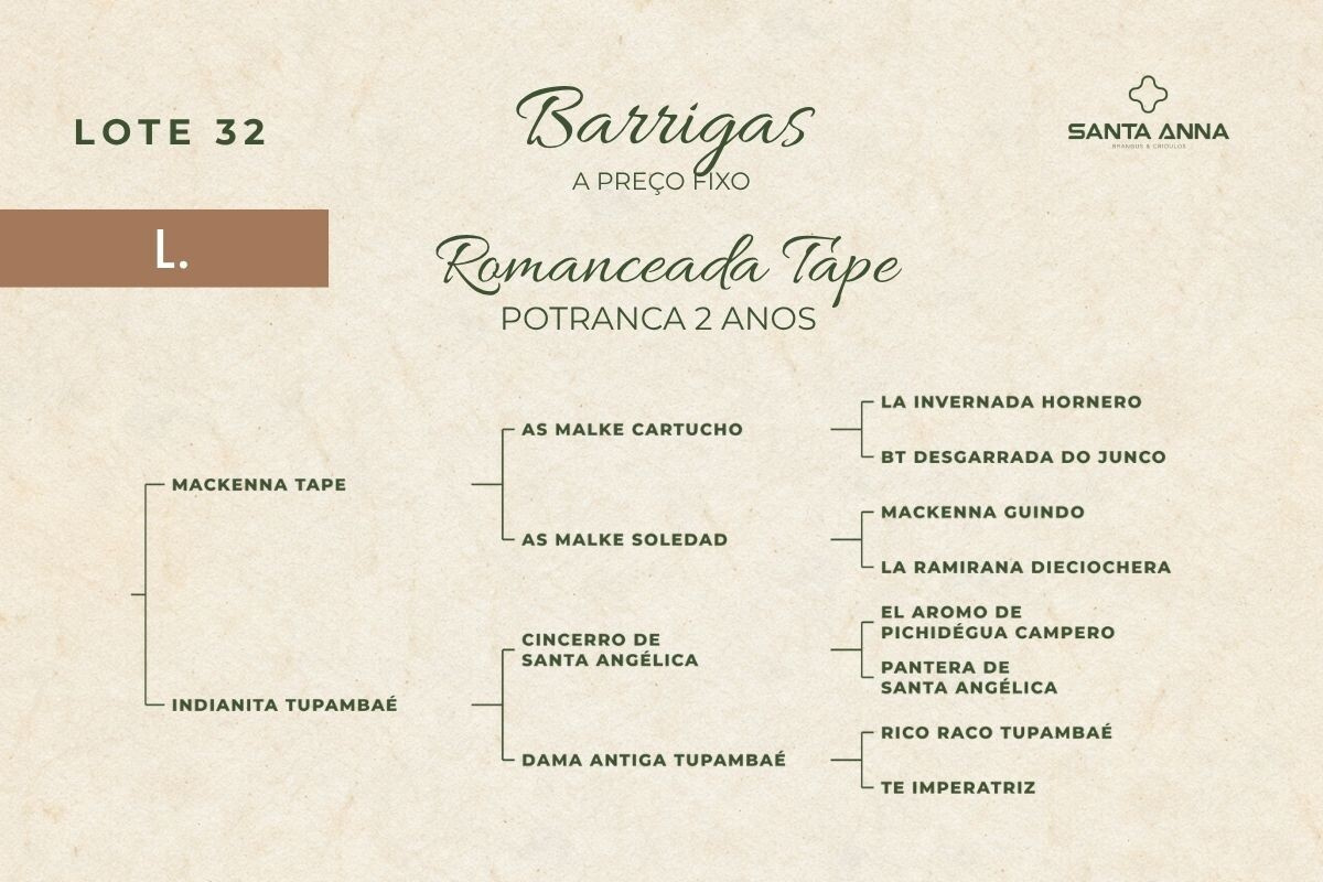 Geração ROMANCEADA TAPE