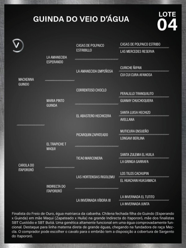 Geração GUINDA DO VEIO D'ÁGUA - VENDA DE EMBRIÃO