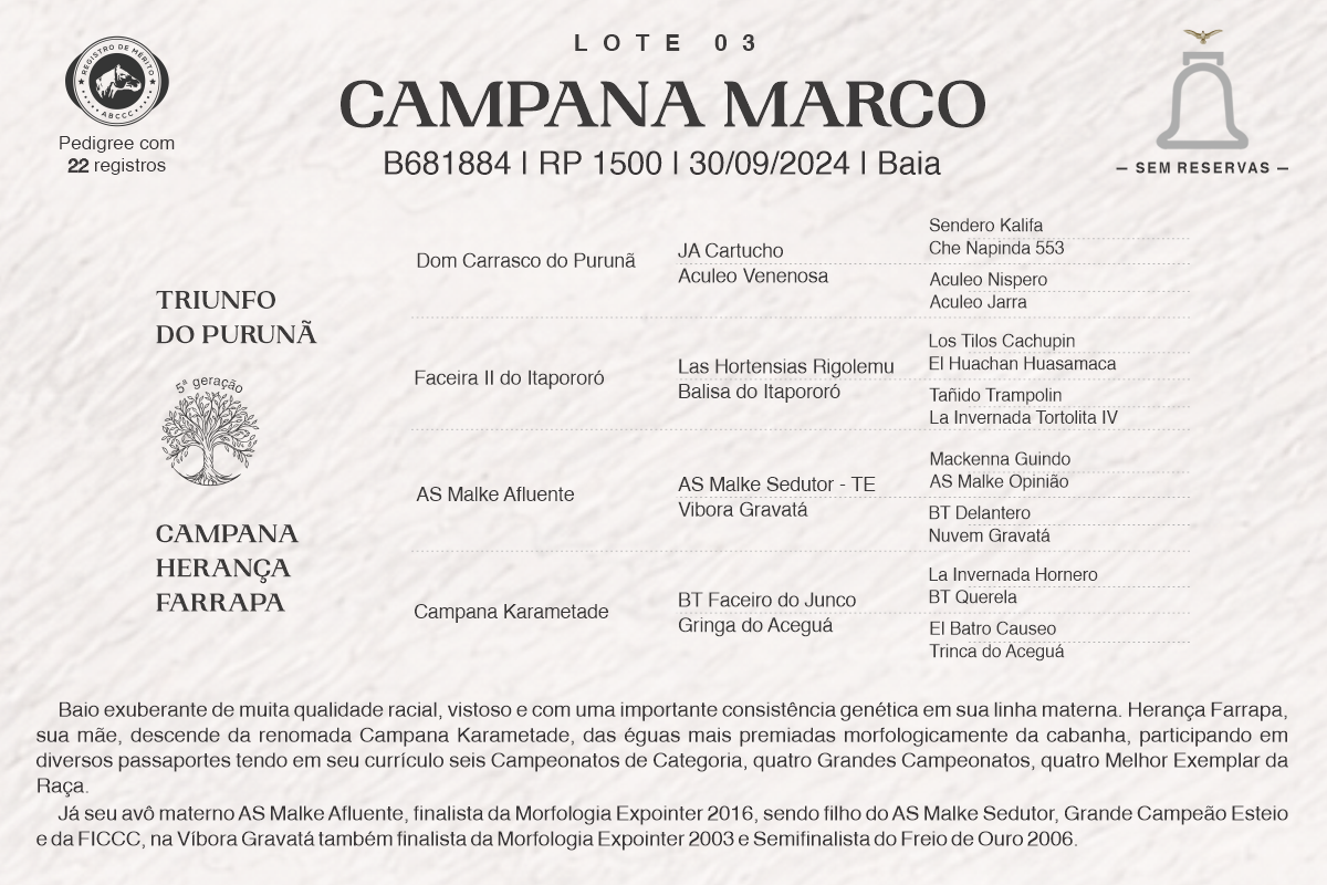 Geração CAMPANA MARCO