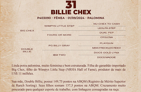 Geração BILLIE CHEX