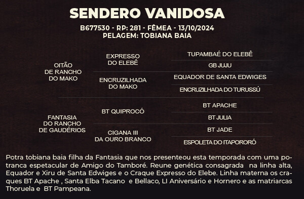 Geração SENDERO VANIDOSA