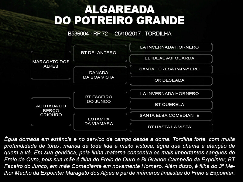Geração ALGAREADA DO POTREIRO GRANDE 