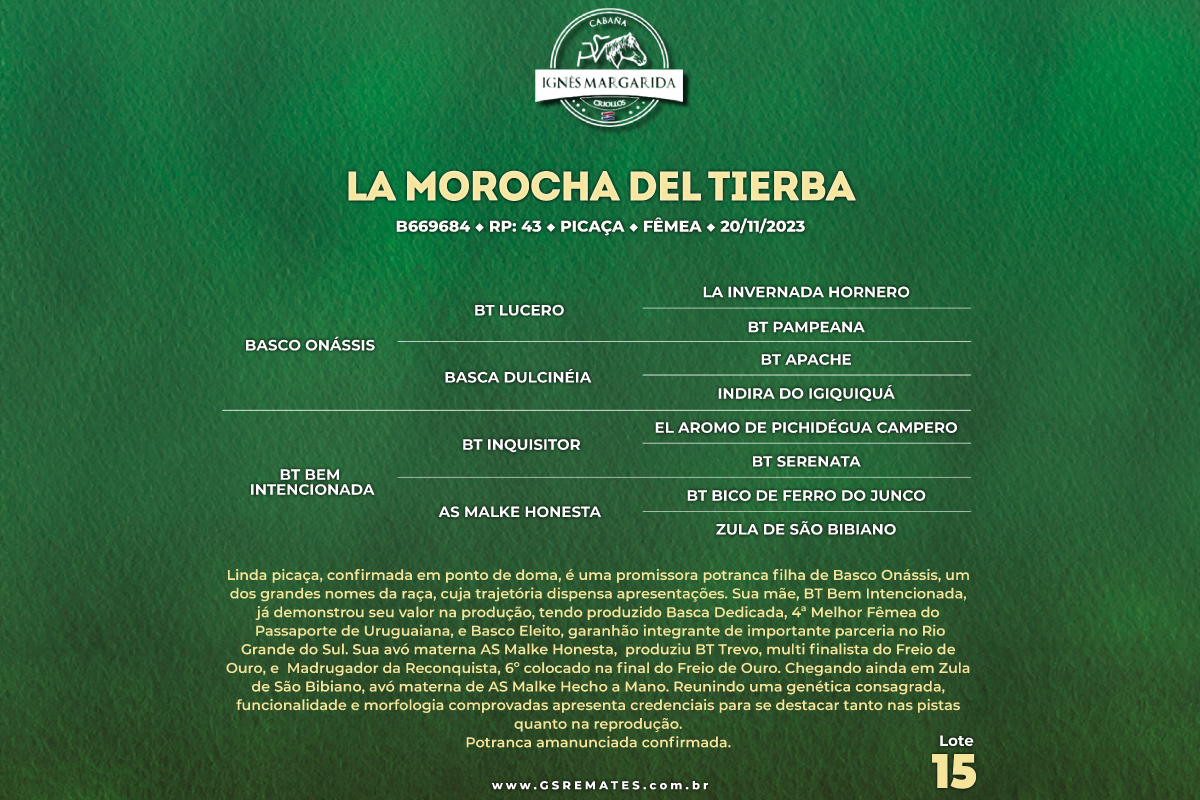 Geração LA MOROCHA DEL TIERBA