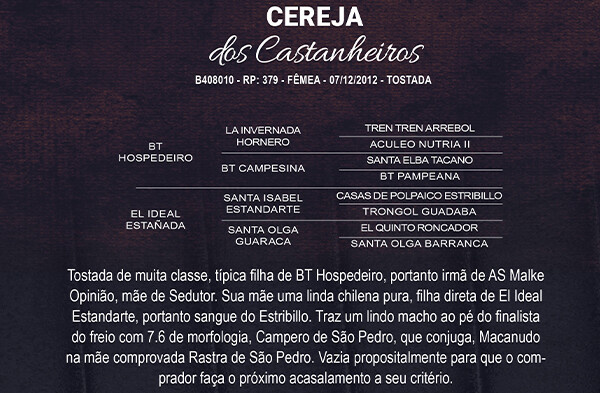 Geração CEREJA DOS CASTANHEIROS
